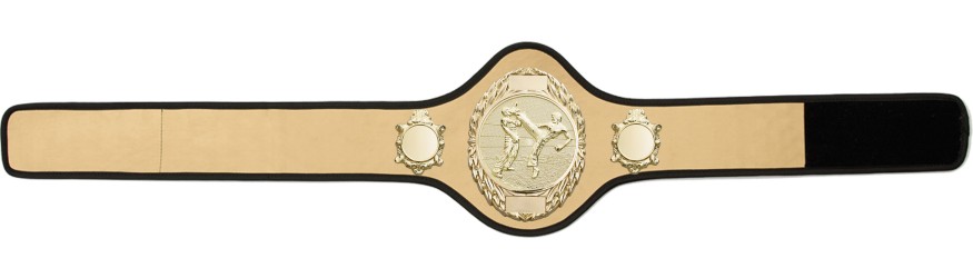KICKBOXING CHAMPIONSHIP BELT-PRO286/G/KBOG-10+ COLOURS